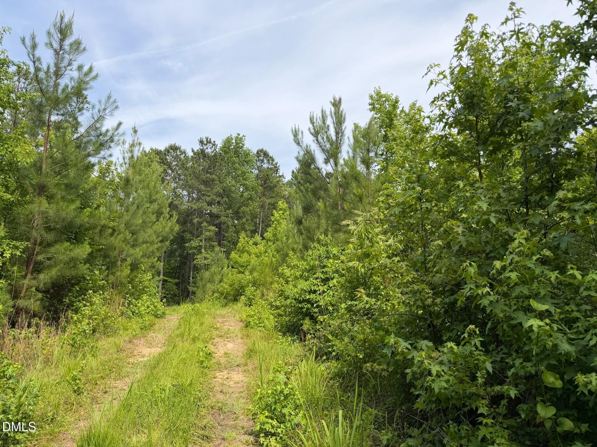 0 John Headen Road Moncure, NC 27559 - Photo 13 of 21