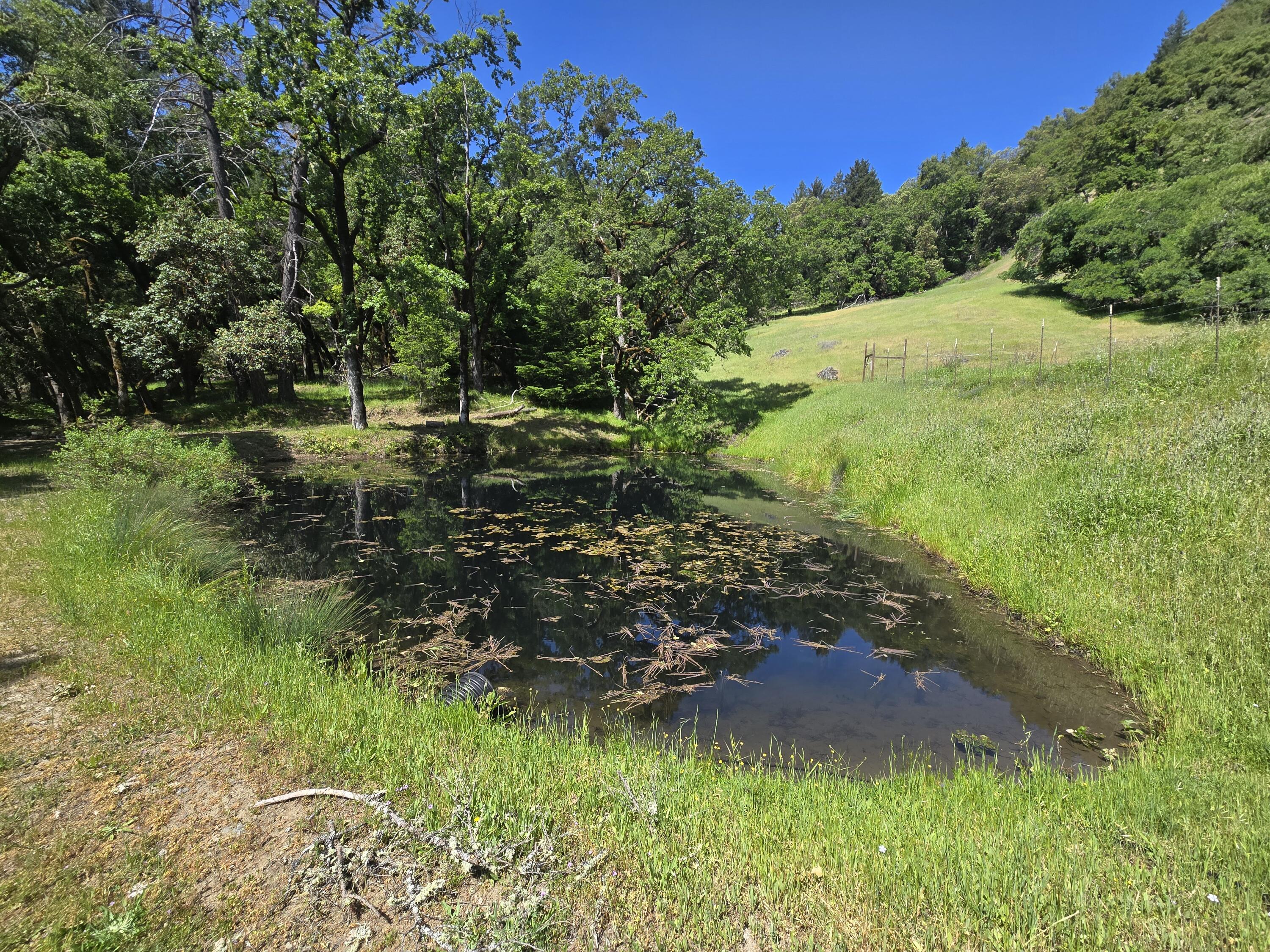 74900 Island Mountain Road Garberville, CA 95542 - Photo 14 of 37
