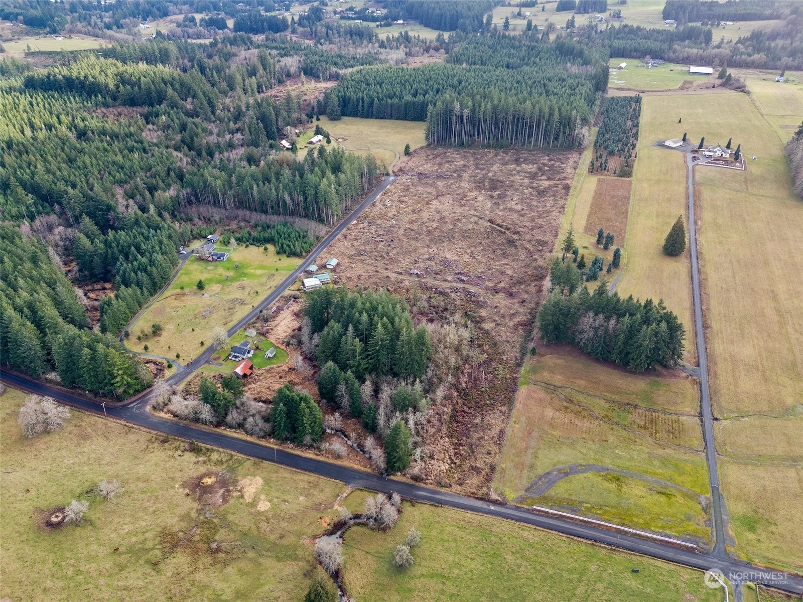 0 Fries Road Winlock, WA 98596 - Photo 13 of 16