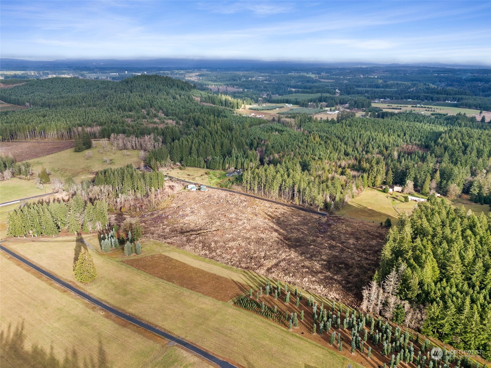 0 Fries Road Winlock, WA 98596 - Photo 4 of 16