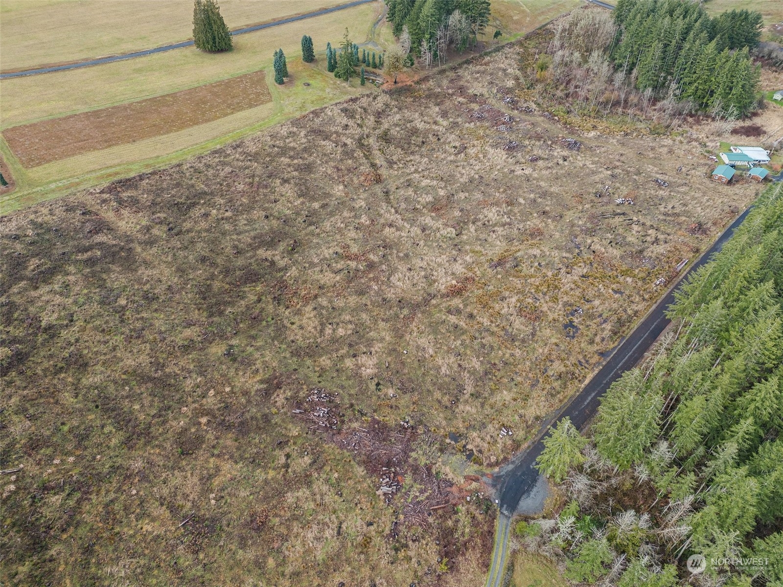 0 Fries Road Winlock, WA 98596 - Photo 8 of 16
