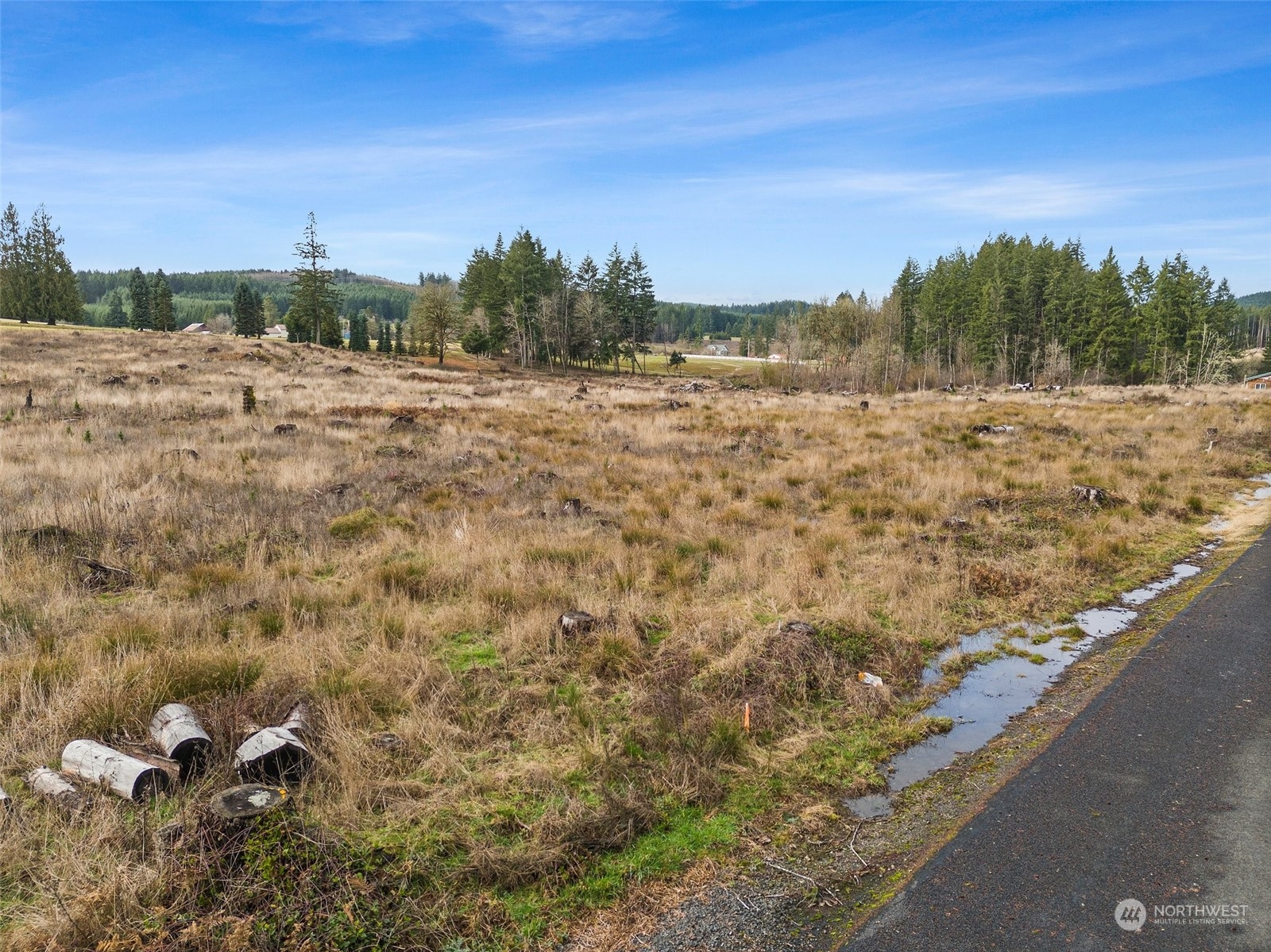 0 Fries Road Winlock, WA 98596 - Photo 9 of 16