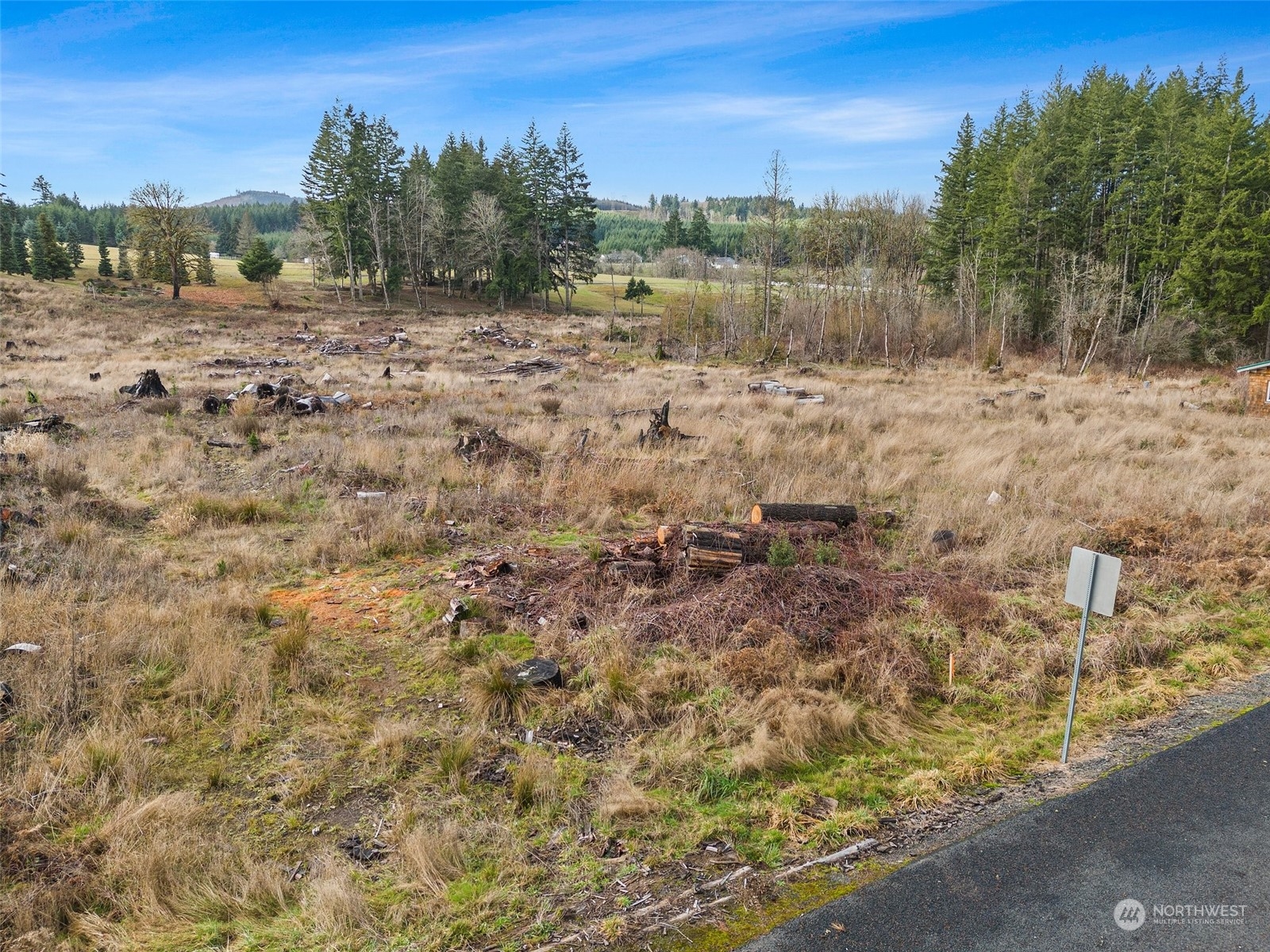 0 Fries Road Winlock, WA 98596 - Photo 10 of 16