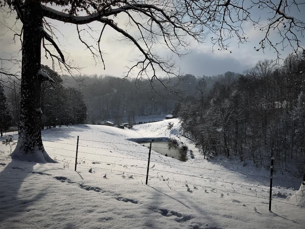 1451 Baker Road Sevierville, TN 37876 - Photo 74 of 74 Gallery Image 74