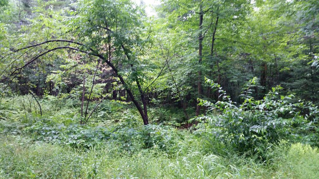 75 Campground Road North Anson, ME 04958 - Photo 23 of 31 Photo