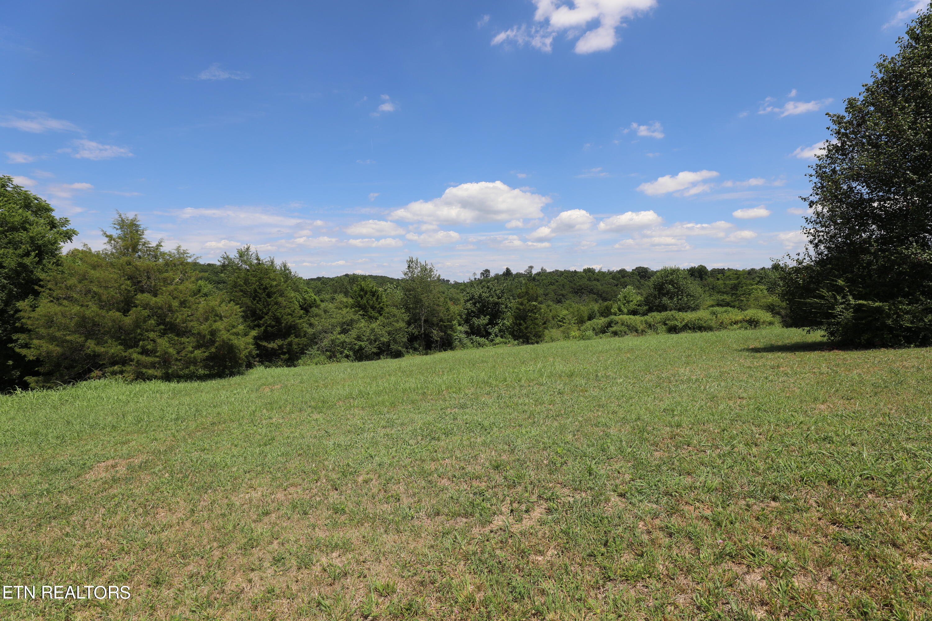 Lot 41 High Ridge Road Sweetwater, TN 37874 - Photo 12 of 14 144A3809