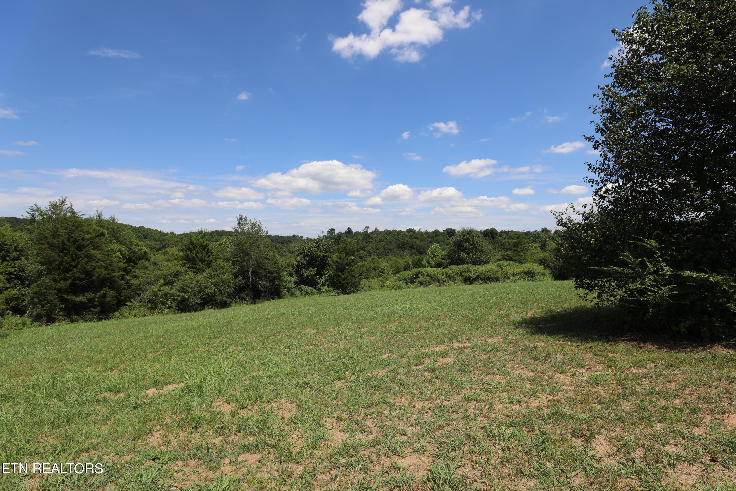 Lot 41 High Ridge Road Sweetwater, TN 37874 - Photo 6 of 14 144A3803