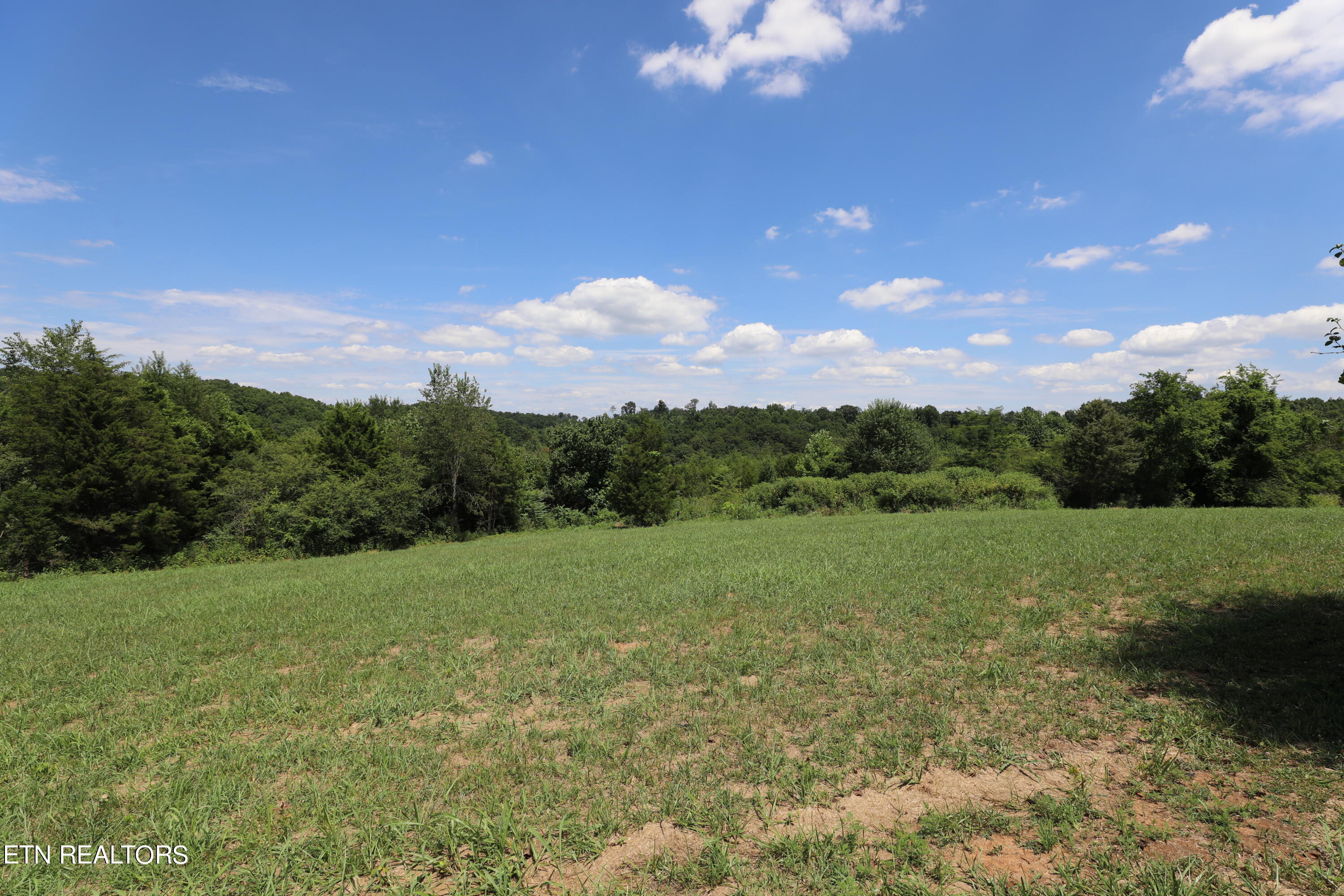 Lot 41 High Ridge Road Sweetwater, TN 37874 - Photo 7 of 14 144A3804