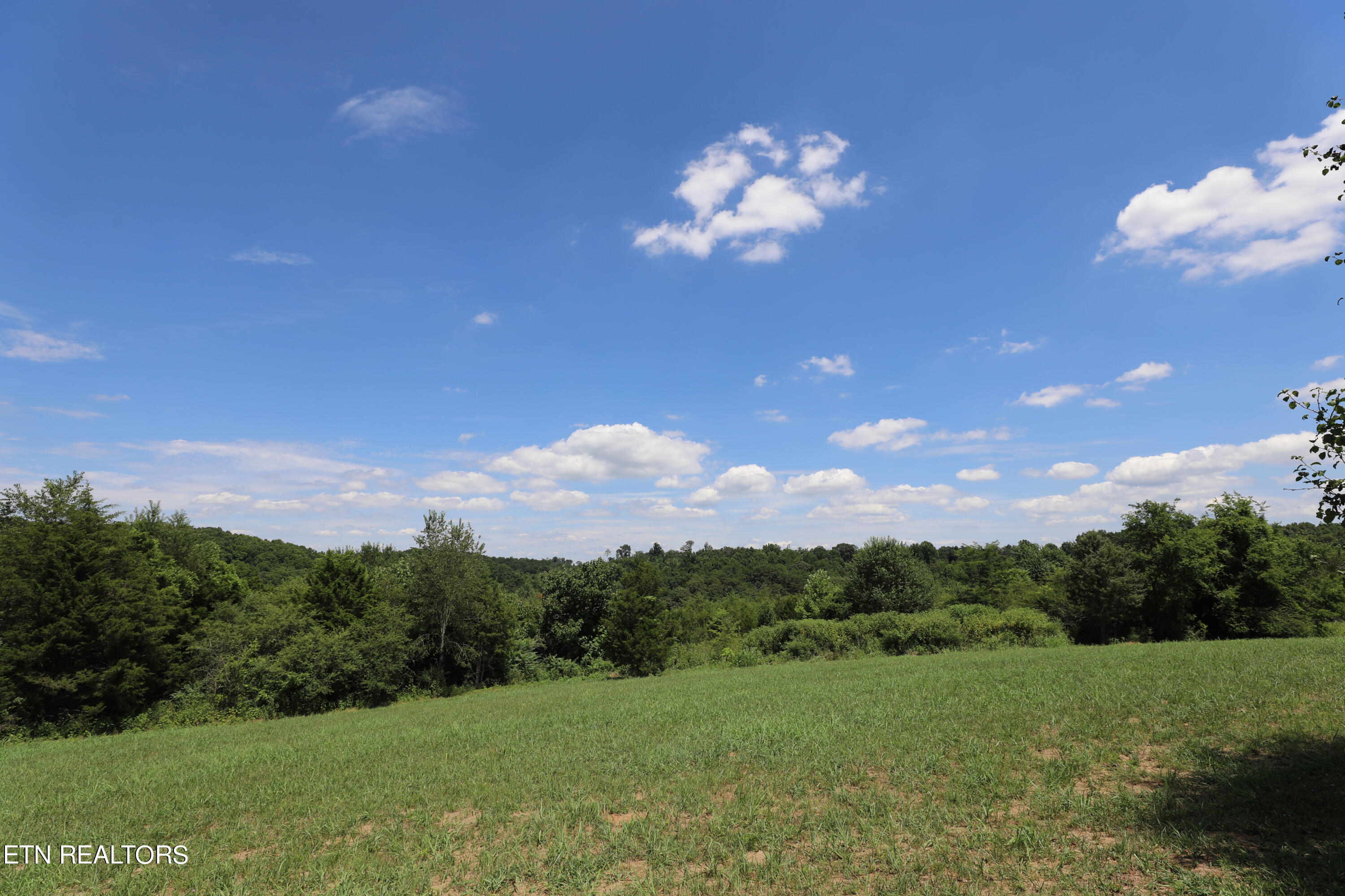 Lot 41 High Ridge Road Sweetwater, TN 37874 - Photo 8 of 14 144A3805
