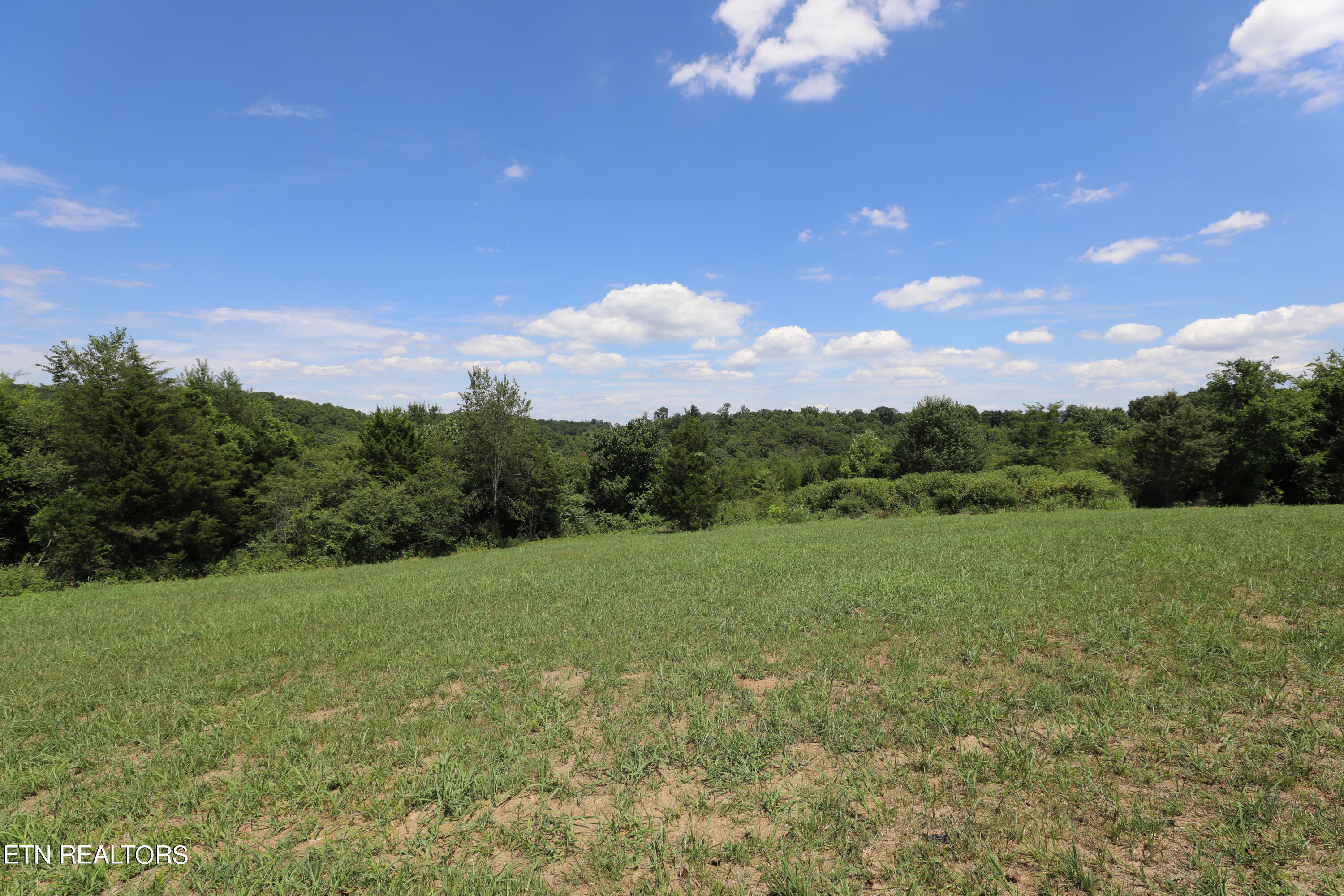 Lot 41 High Ridge Road Sweetwater, TN 37874 - Photo 9 of 14 144A3806