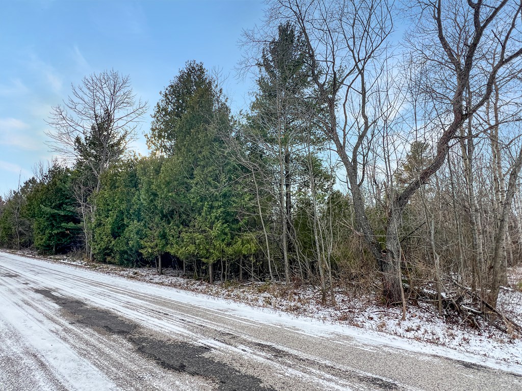 Parcel A Gibraltar Blf Road Fish Creek, WI 54212 - Photo 4 of 11