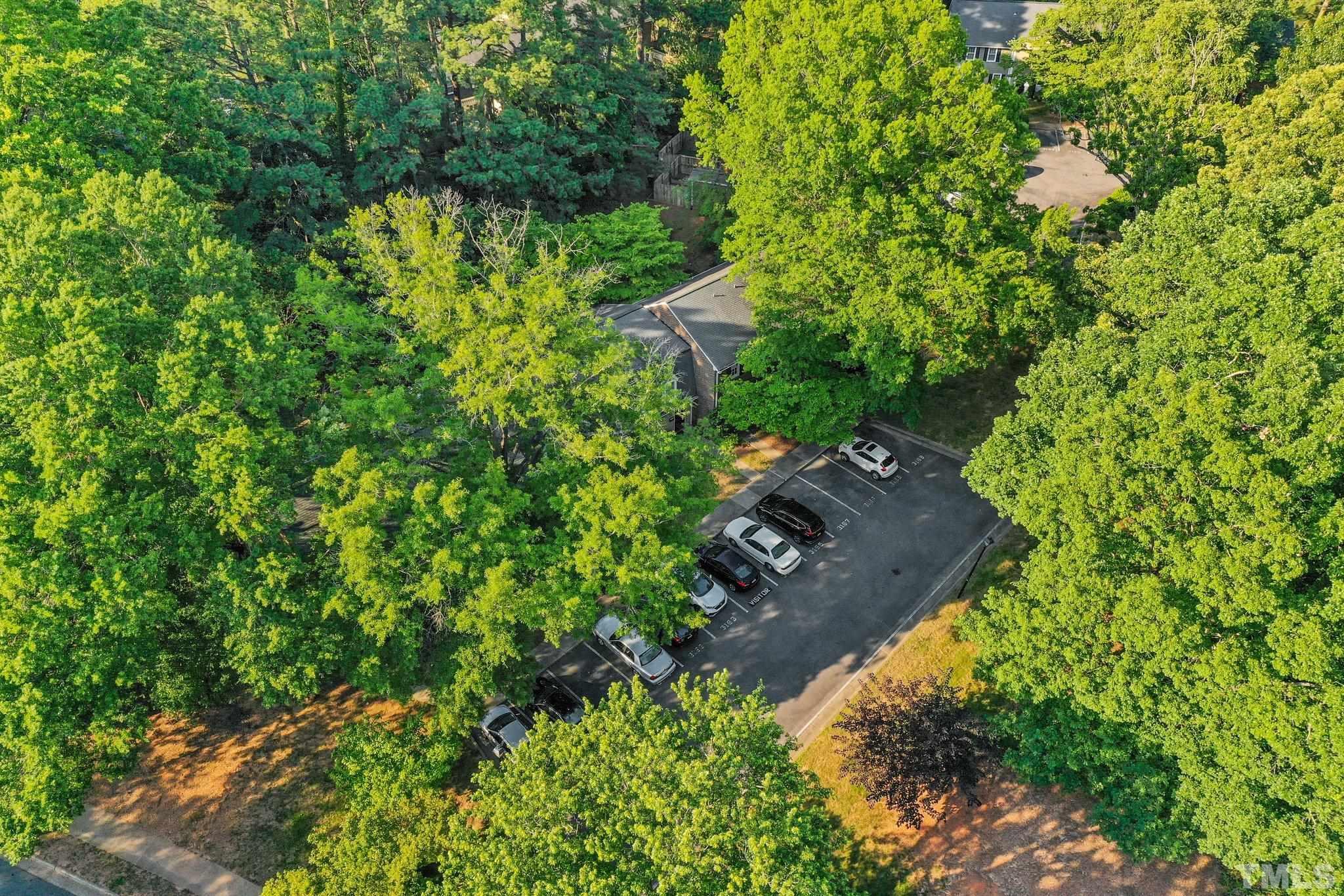 3169 Morningside Drive Raleigh, NC 27607 - Photo 6 of 36 an aerial view of residential house with outdoor space and trees all around