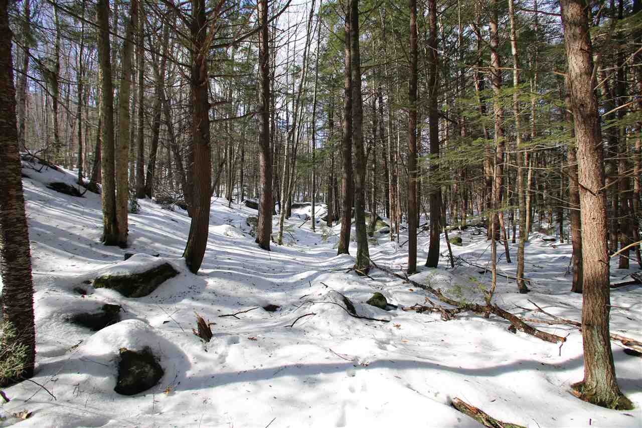 135 Cutts Road Newport, NH 03773 - Photo 16 of 35