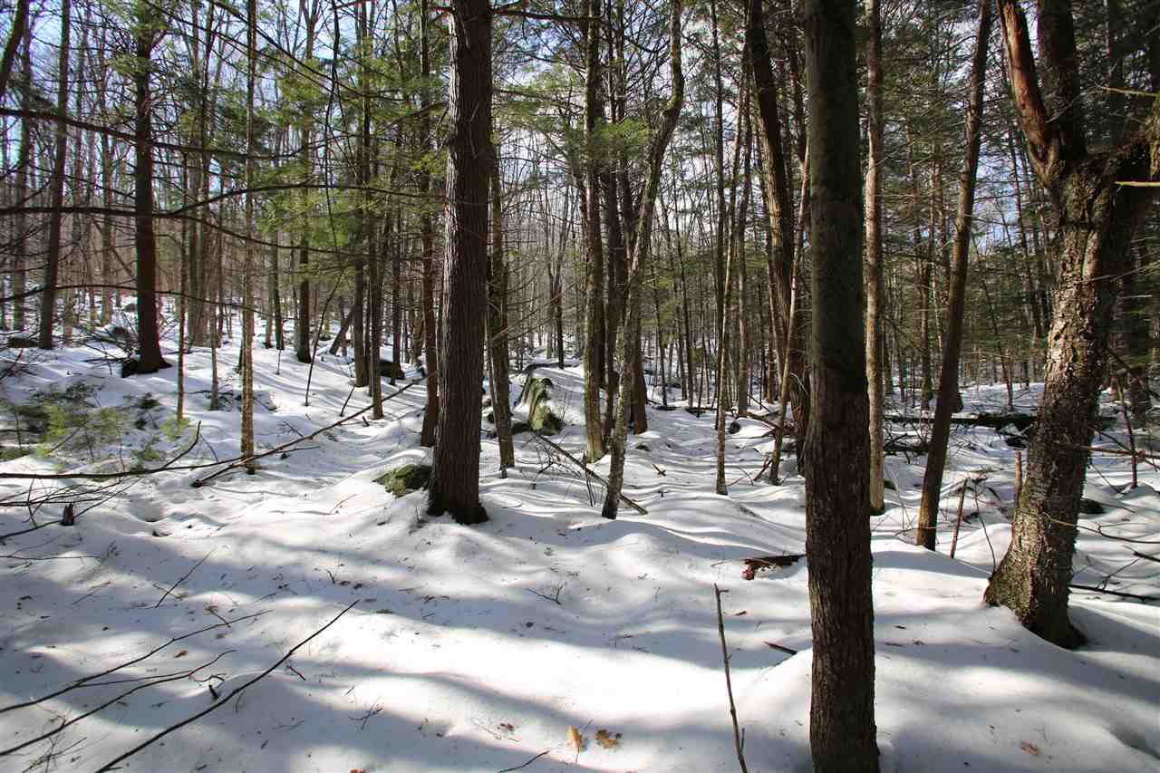 135 Cutts Road Newport, NH 03773 - Photo 17 of 35