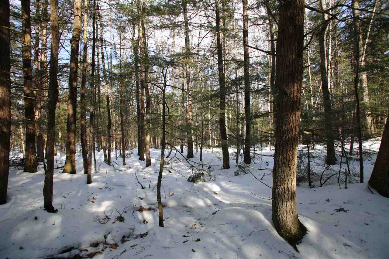135 Cutts Road Newport, NH 03773 - Photo 18 of 35