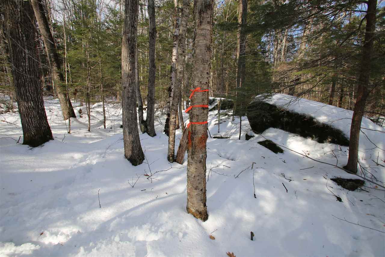 135 Cutts Road Newport, NH 03773 - Photo 19 of 35