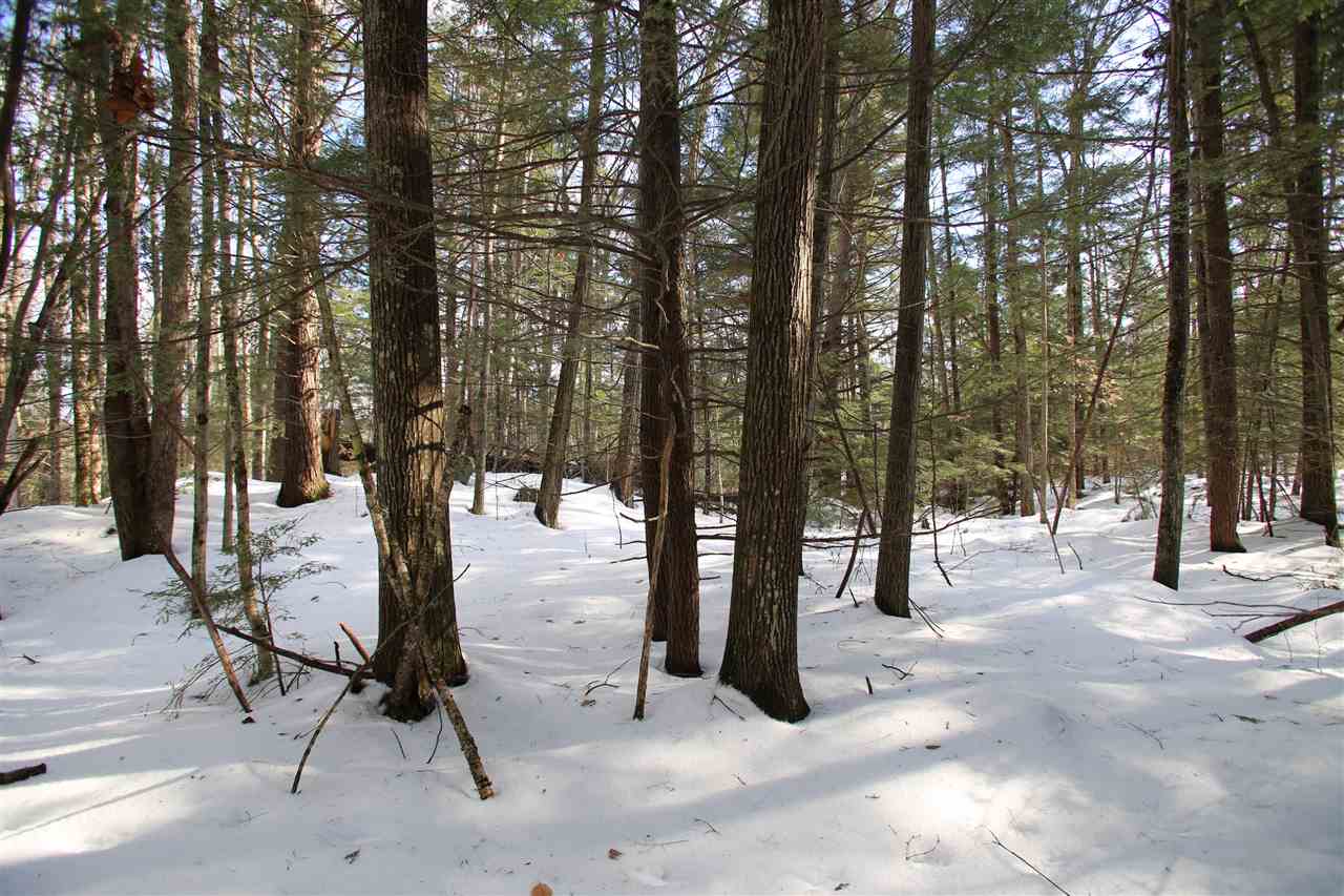 135 Cutts Road Newport, NH 03773 - Photo 20 of 35