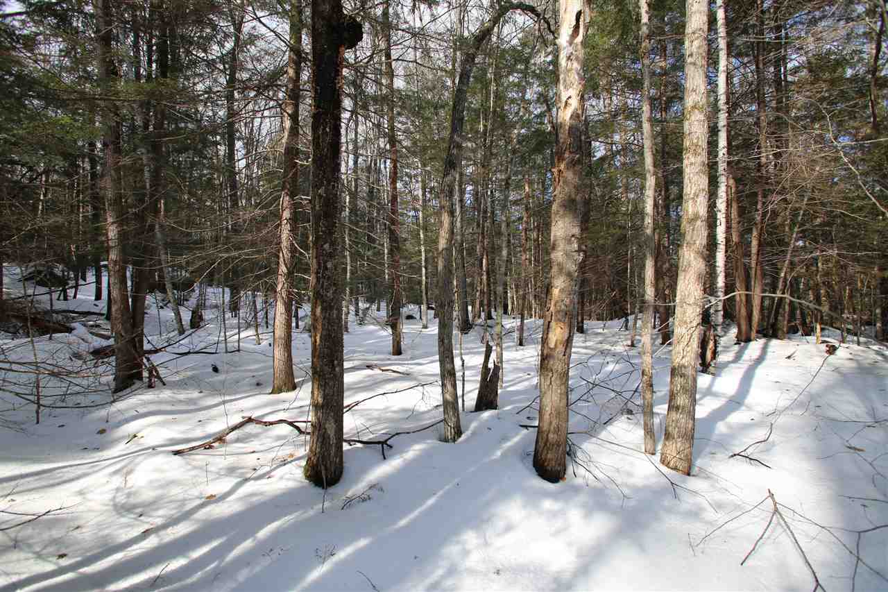 135 Cutts Road Newport, NH 03773 - Photo 21 of 35