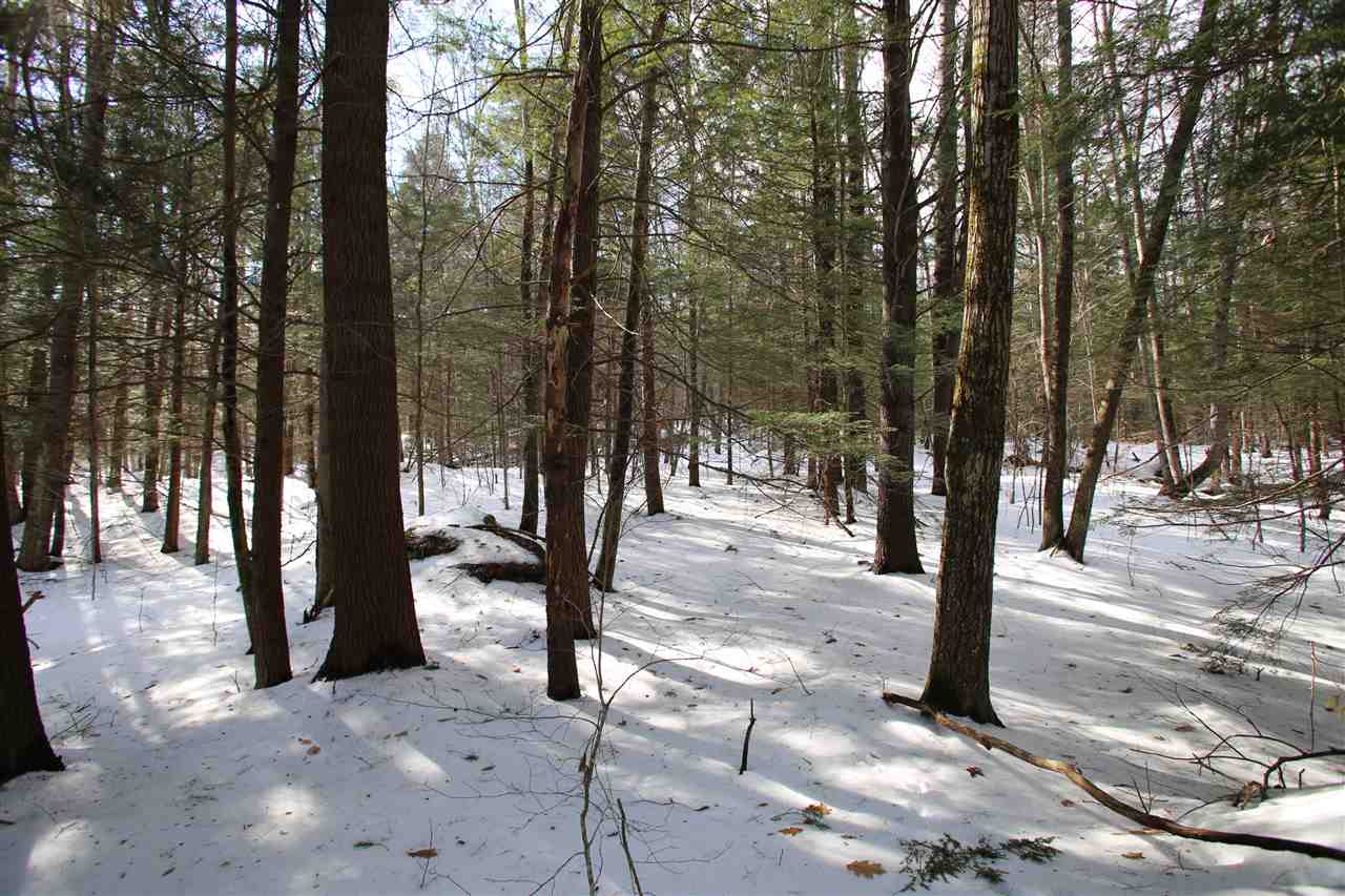 135 Cutts Road Newport, NH 03773 - Photo 22 of 35