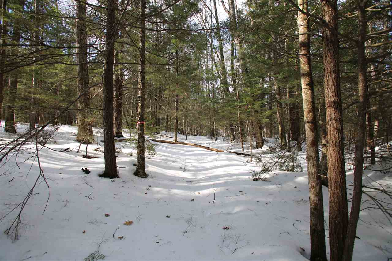 135 Cutts Road Newport, NH 03773 - Photo 27 of 35