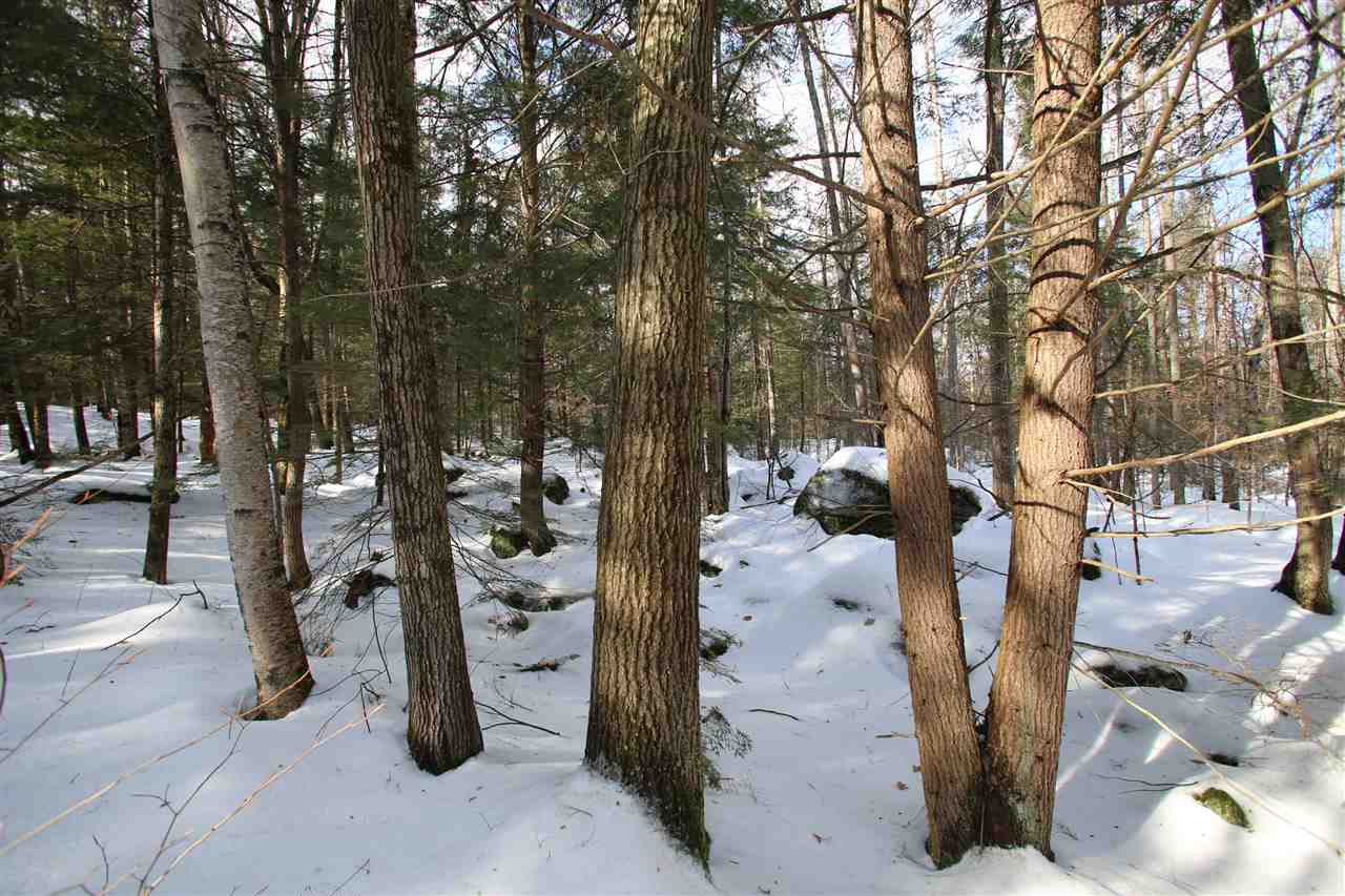 135 Cutts Road Newport, NH 03773 - Photo 29 of 35