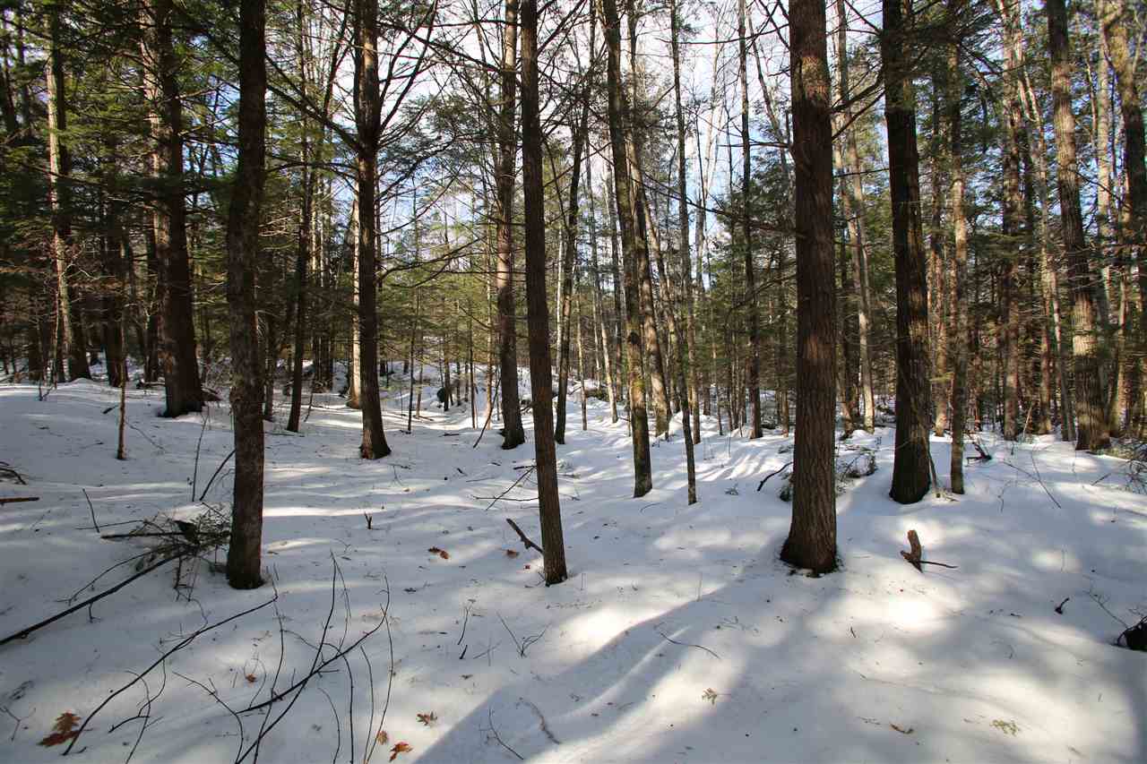 135 Cutts Road Newport, NH 03773 - Photo 31 of 35