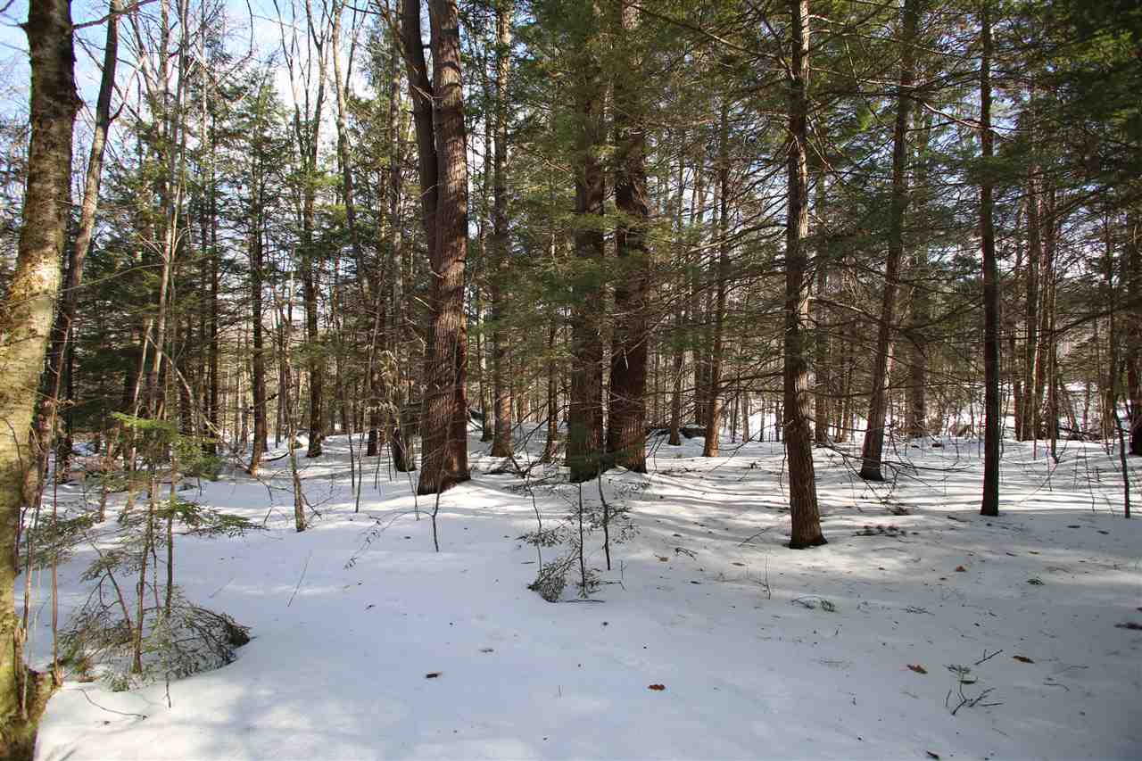 135 Cutts Road Newport, NH 03773 - Photo 32 of 35