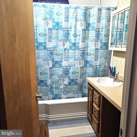 a bathroom with a sink and a shower