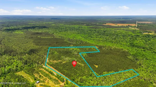 $115,000 | Vestry Road, Perkinston, MS 39573