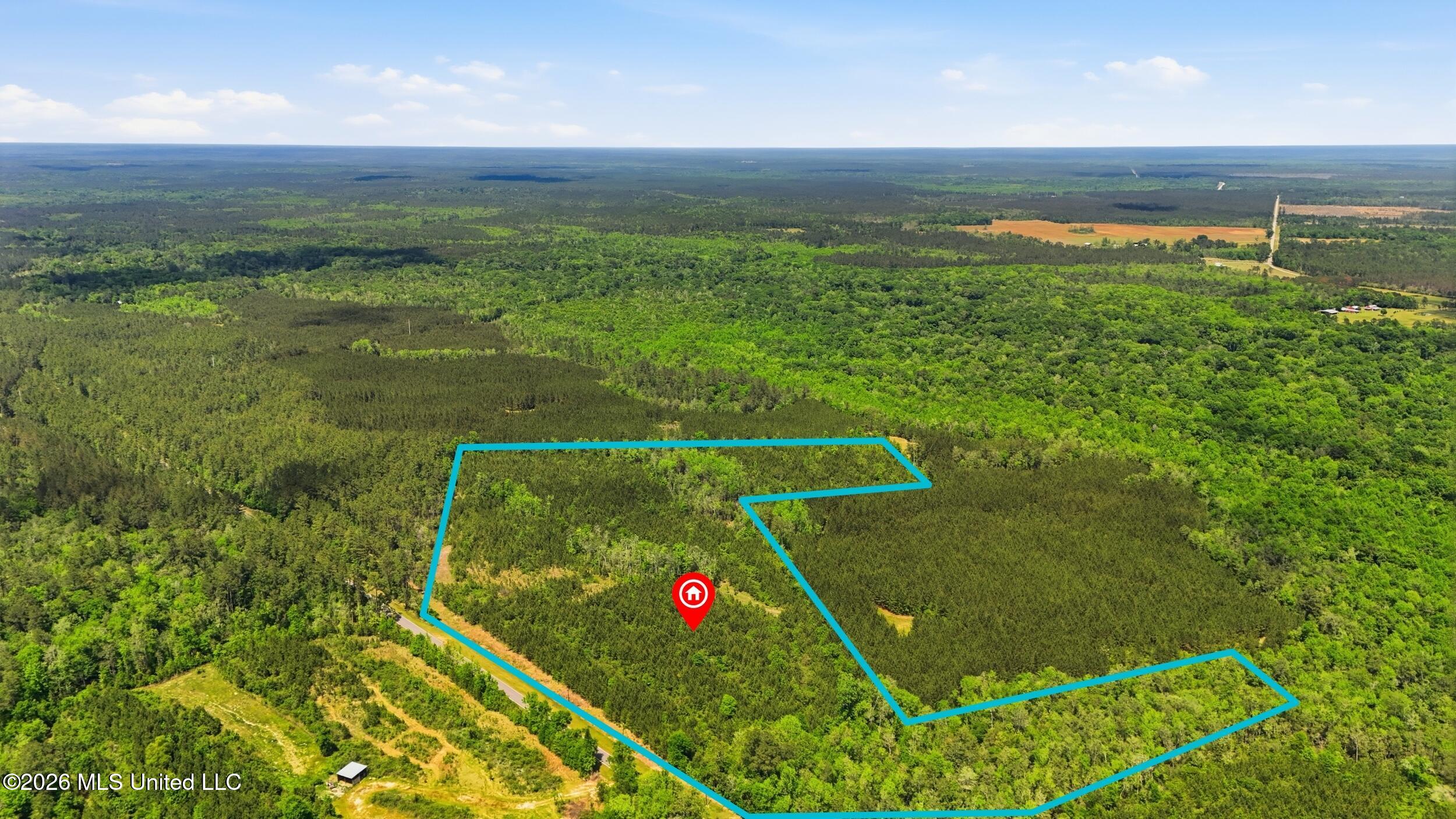 Vestry Road Perkinston, MS 39573 - Photo 11 of 35 dji_20260416134852_0605_d_lotlines