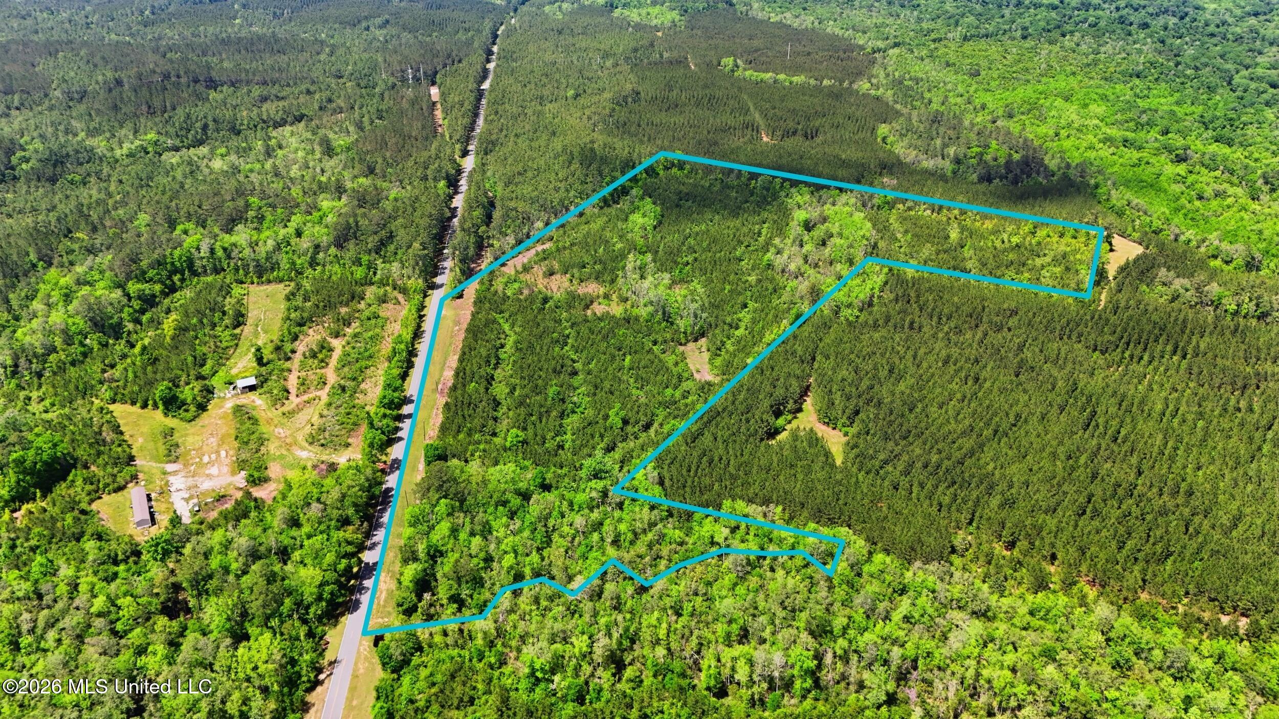 Vestry Road Perkinston, MS 39573 - Photo 13 of 35 dji_20260416134444_0578_d_lotlines