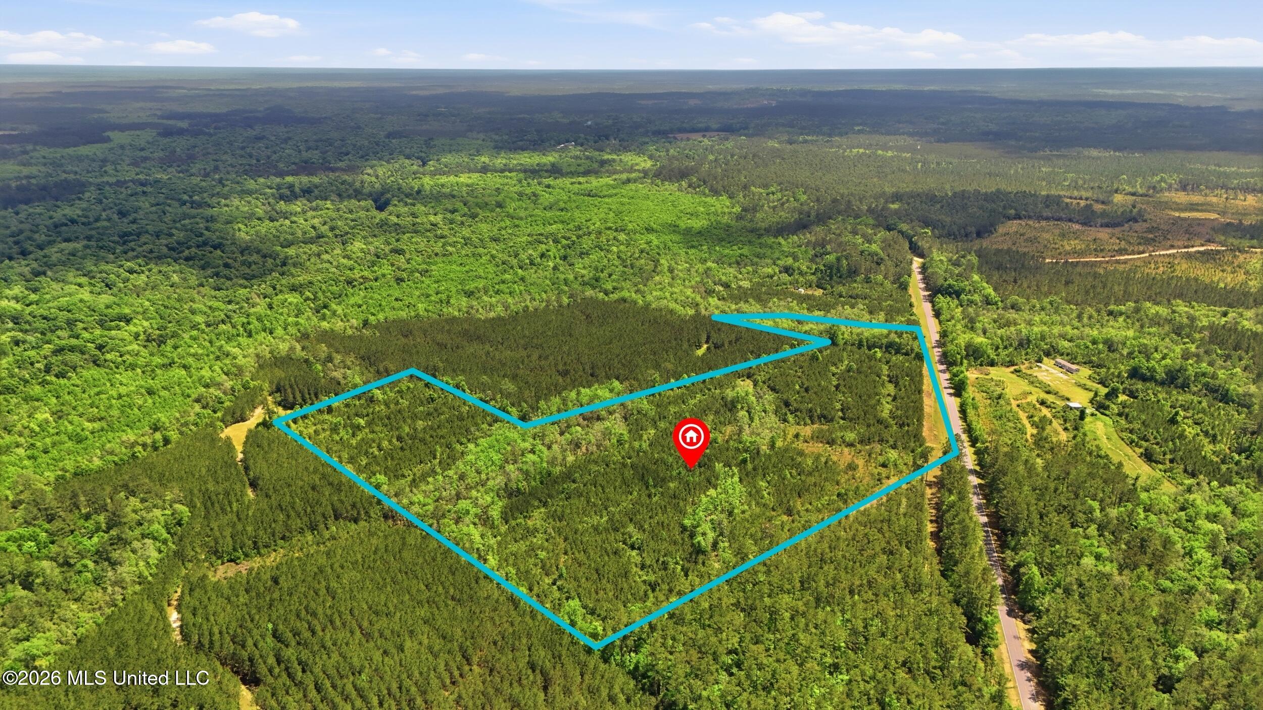 Vestry Road Perkinston, MS 39573 - Photo 14 of 35 dji_20260416134701_0593_d_lotlines