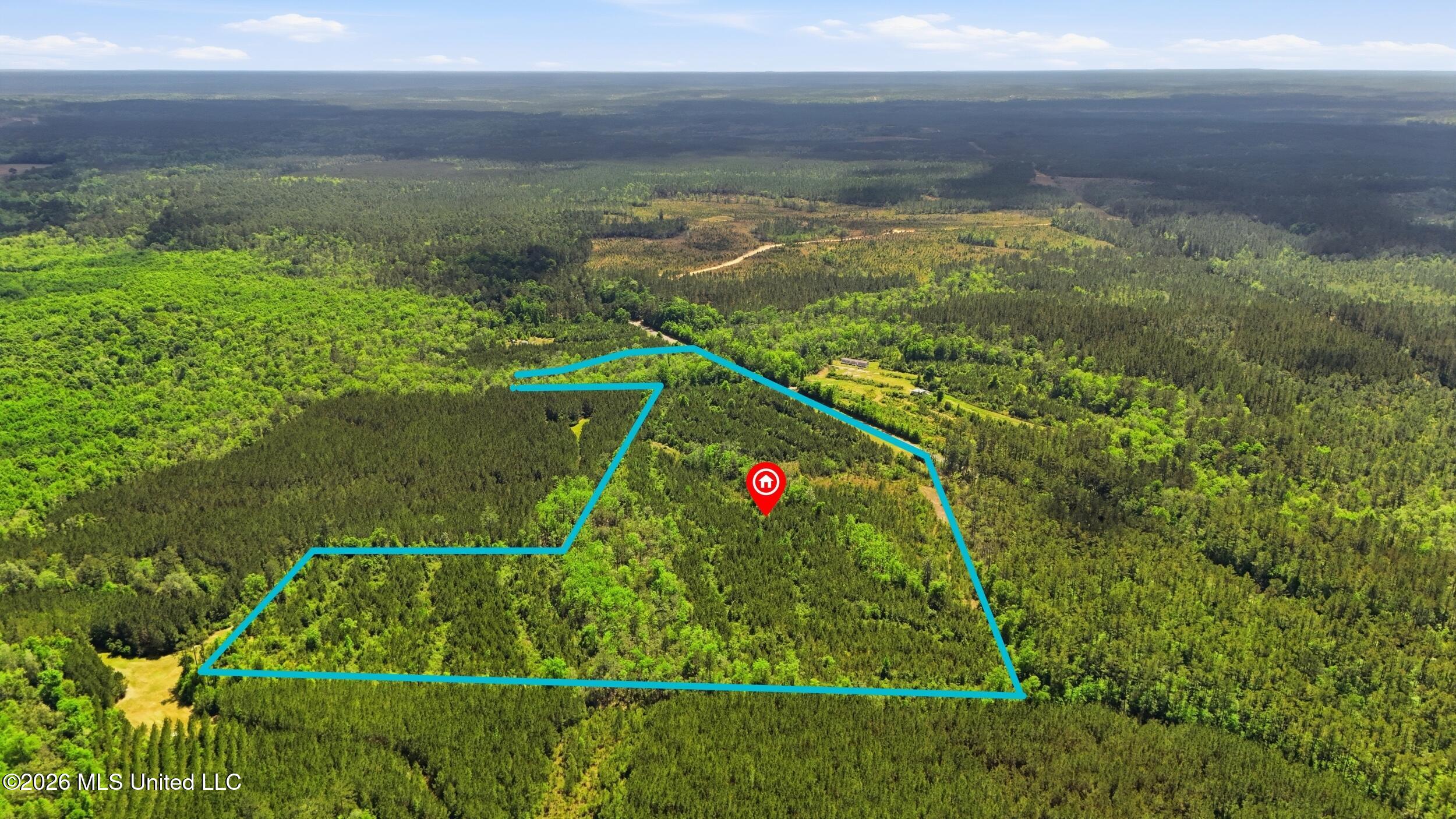 Vestry Road Perkinston, MS 39573 - Photo 15 of 35 dji_20260416134634_0590_d_lotlines