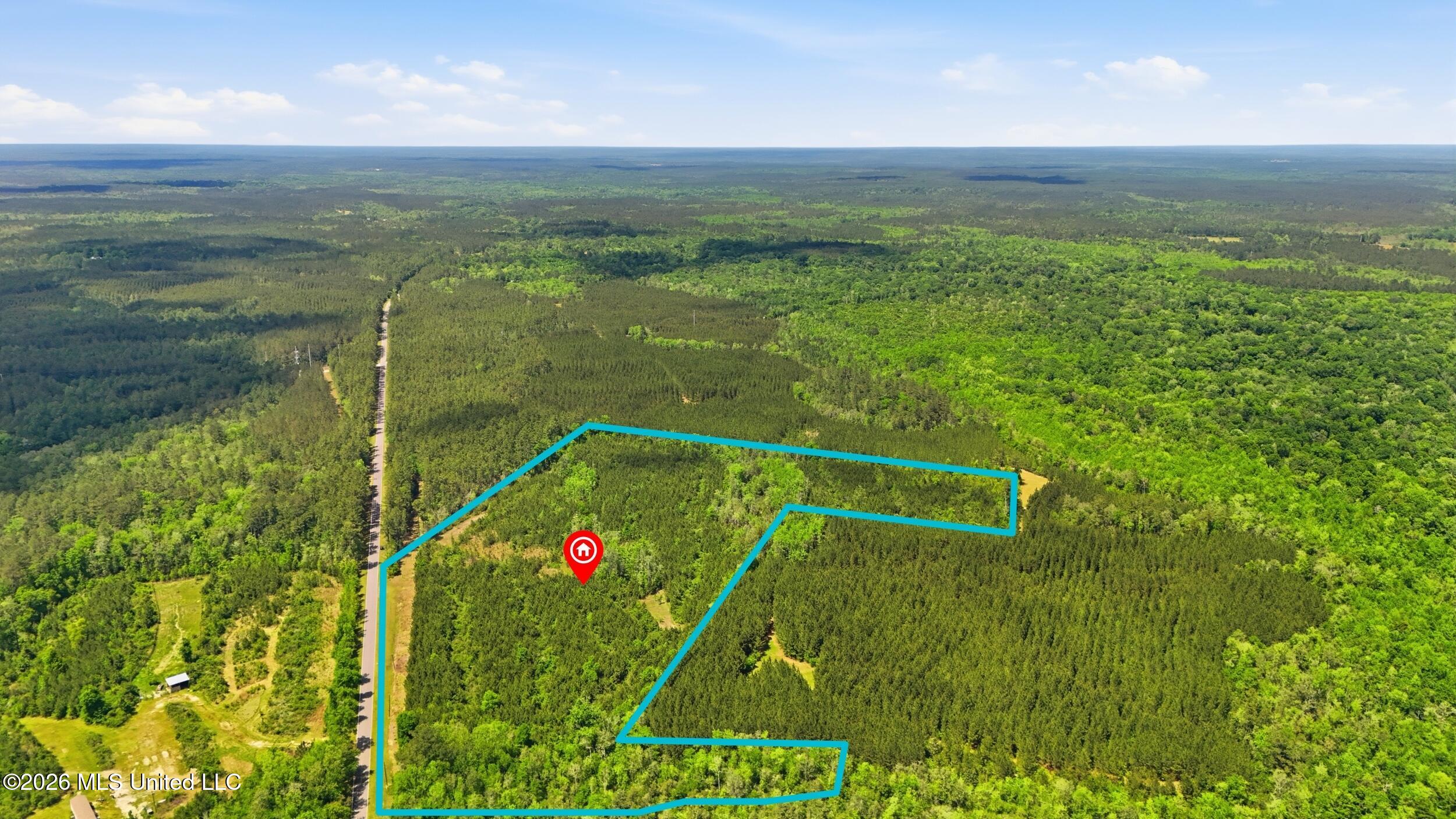 Vestry Road Perkinston, MS 39573 - Photo 16 of 35 dji_20260416134920_0608_d_lotlines