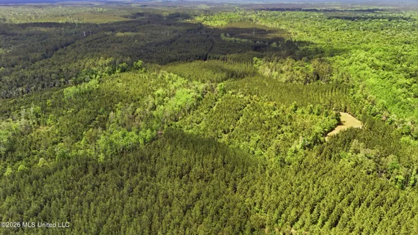 $115,000 | Vestry Road, Perkinston, MS 39573