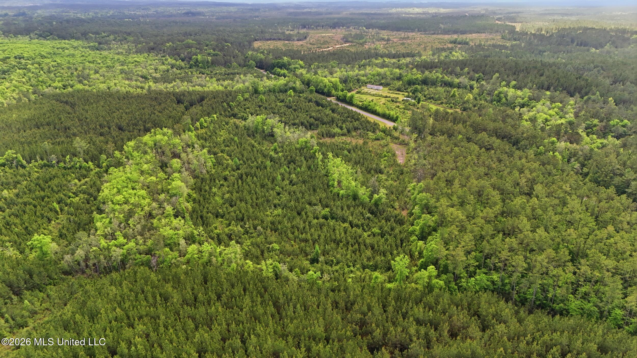 Vestry Road Perkinston, MS 39573 - Photo 19 of 35 dji_20260416135218_0629_d