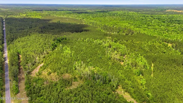 $115,000 | Vestry Road, Perkinston, MS 39573