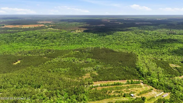 $115,000 | Vestry Road, Perkinston, MS 39573