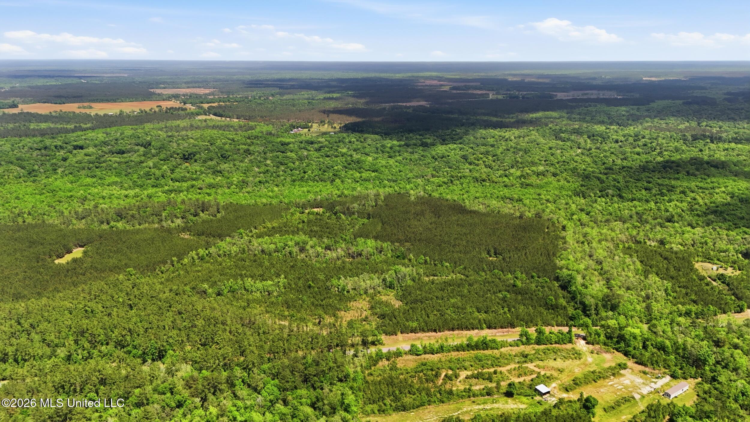 Vestry Road Perkinston, MS 39573 - Photo 21 of 35 dji_20260416134758_0599_d