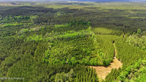 $115,000 | Vestry Road, Perkinston, MS 39573