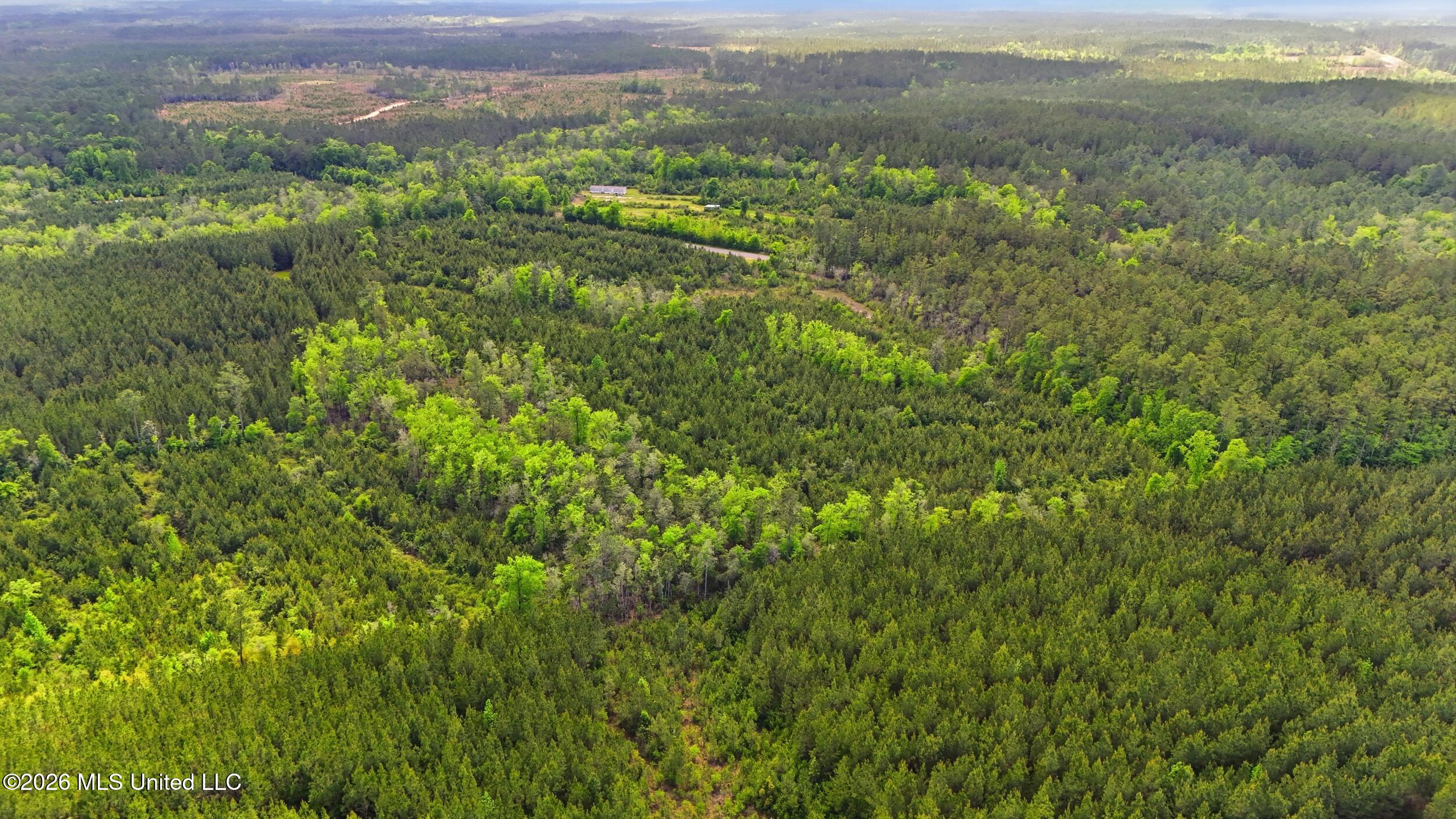Vestry Road Perkinston, MS 39573 - Photo 25 of 35 dji_20260416135201_0626_d