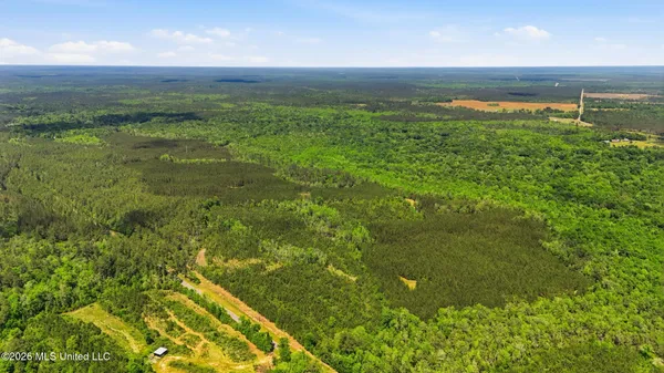 $115,000 | Vestry Road, Perkinston, MS 39573