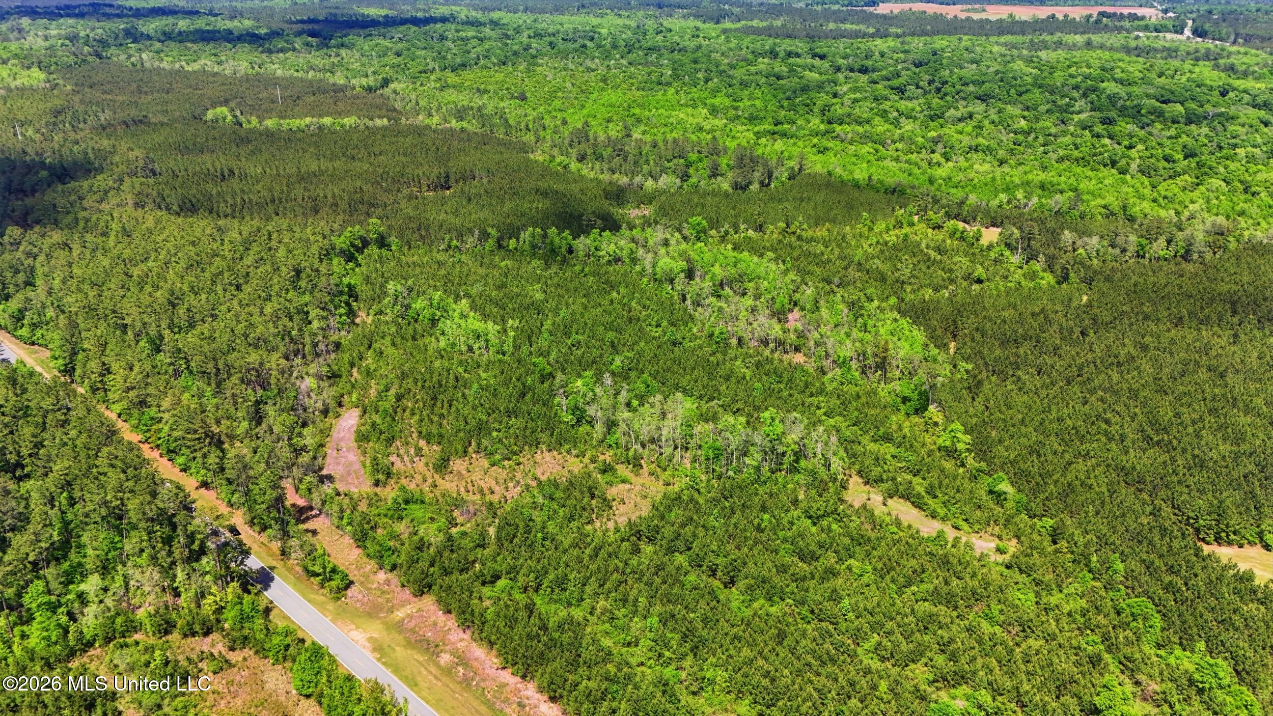 Vestry Road Perkinston, MS 39573 - Photo 30 of 35 dji_20260416134953_0611_d