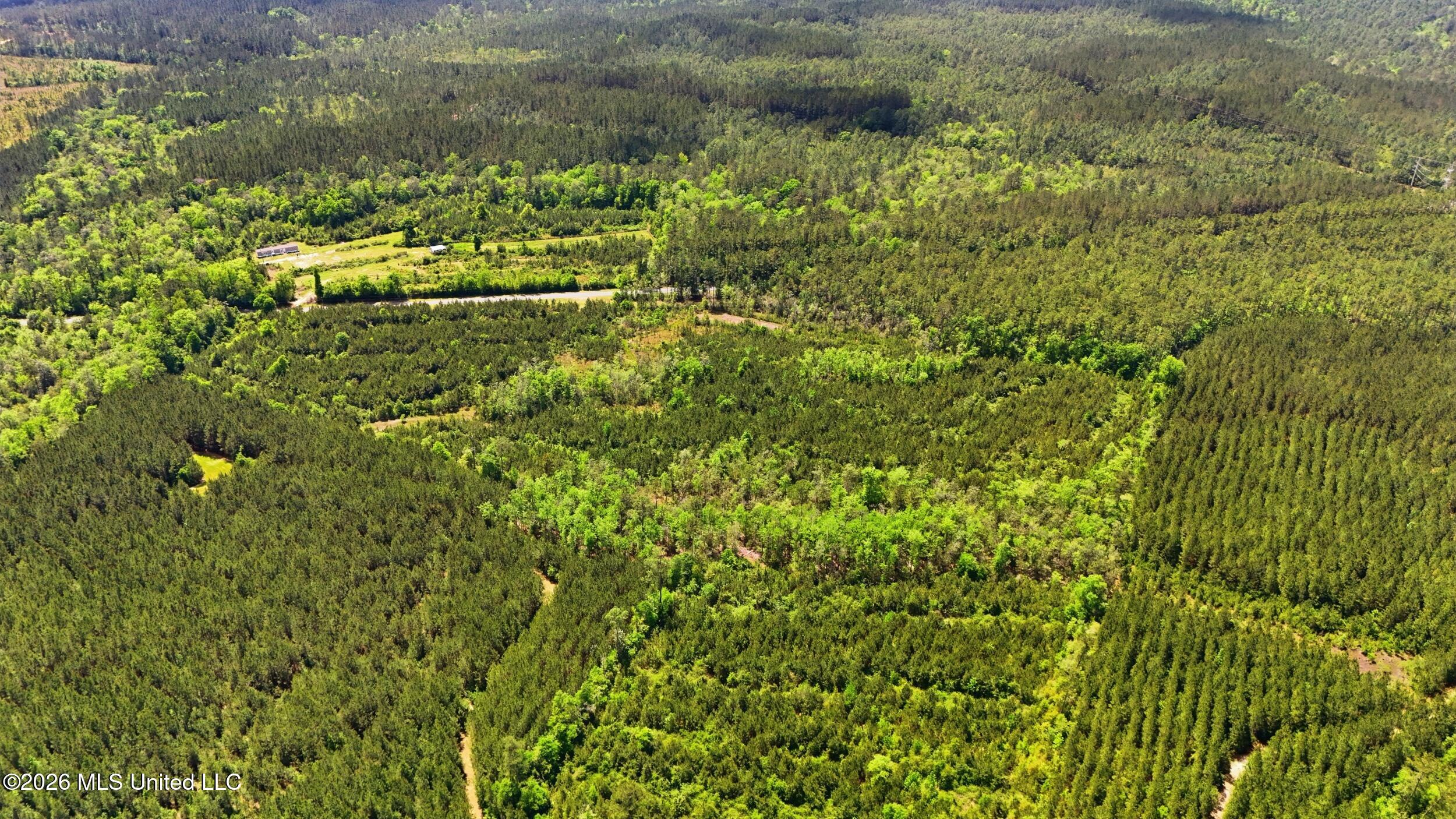 Vestry Road Perkinston, MS 39573 - Photo 31 of 35 dji_20260416134547_0584_d