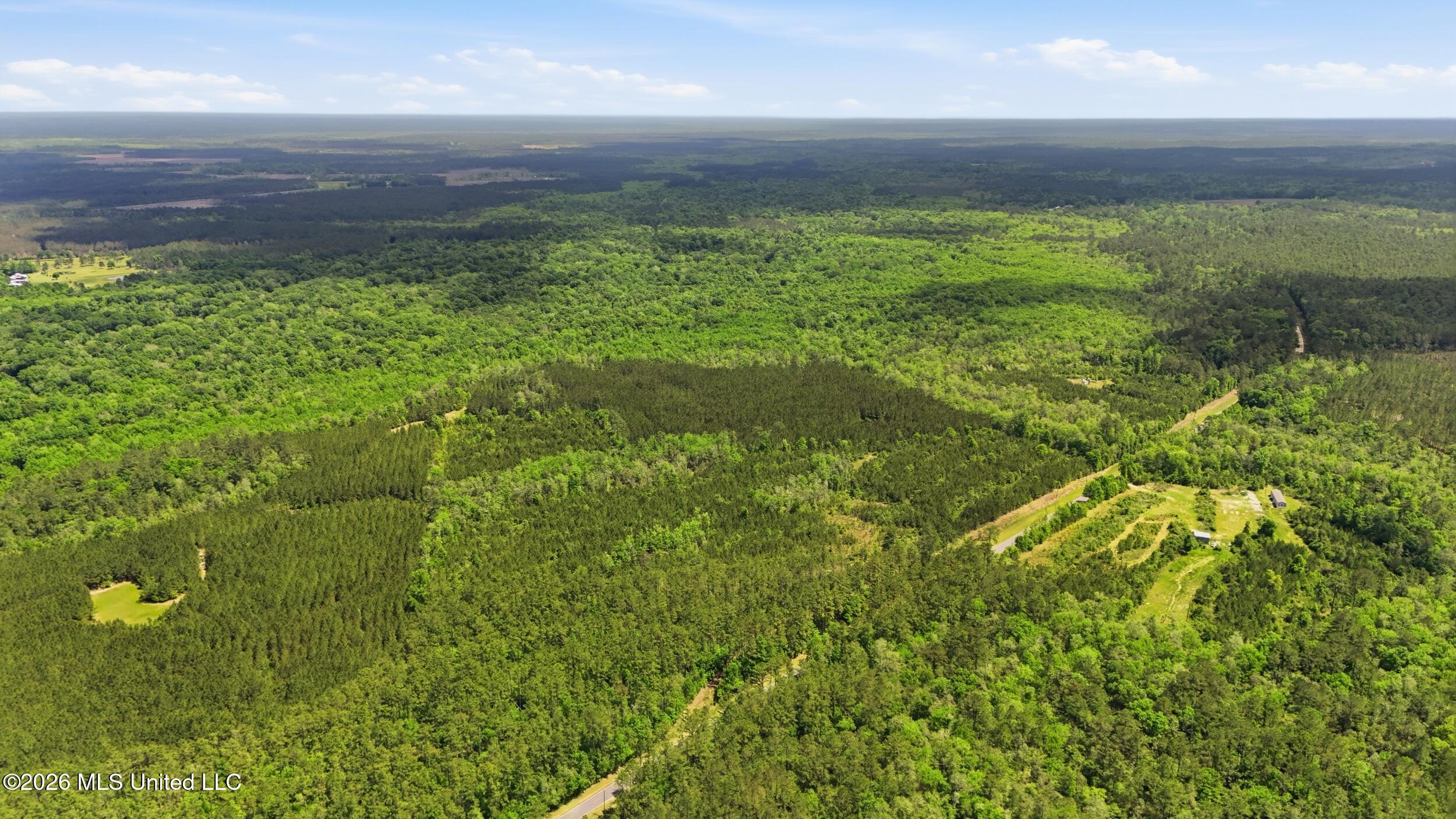 Vestry Road Perkinston, MS 39573 - Photo 32 of 35 dji_20260416134726_0596_d