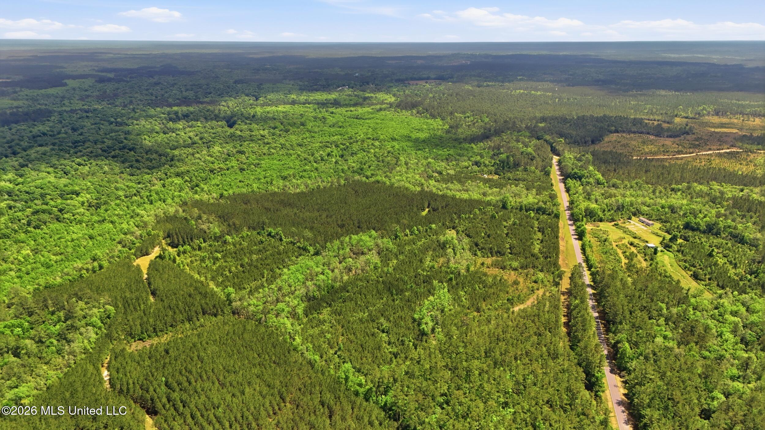 Vestry Road Perkinston, MS 39573 - Photo 34 of 35 dji_20260416134701_0593_d