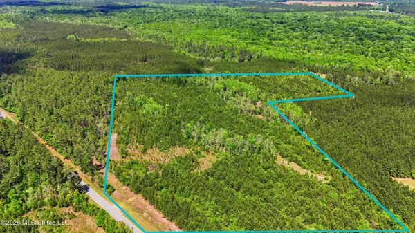 $115,000 | Vestry Road, Perkinston, MS 39573