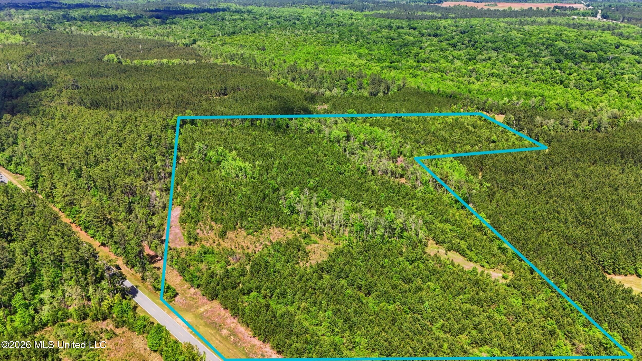 Vestry Road Perkinston, MS 39573 - Photo 5 of 35 dji_20260416134953_0611_d_lotlines