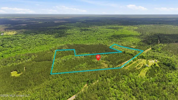 $115,000 | Vestry Road, Perkinston, MS 39573