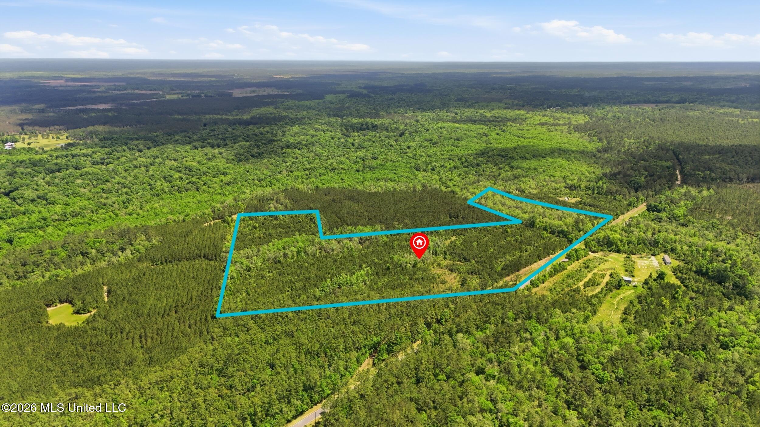 Vestry Road Perkinston, MS 39573 - Photo 6 of 35 dji_20260416134726_0596_d_lotlines